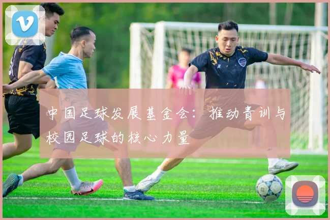中国足球发展基金会：推动青训与校园足球的核心力量